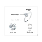 JewelryPalace 925 Sterling Silver Oval Solitaire Engagement Ring