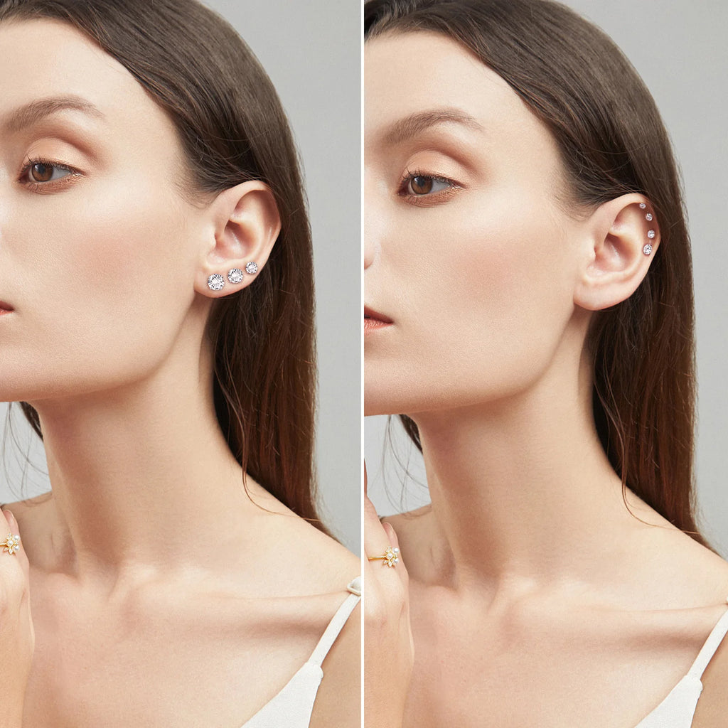 LUXUSTEEL Stainless Steel Round Cubic Zirconia Small Earrings